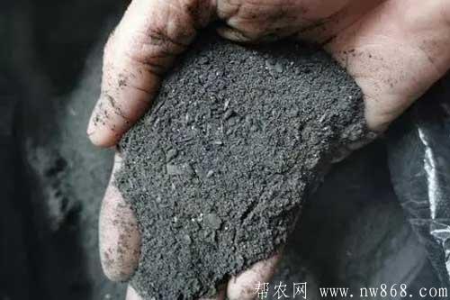 农家肥——草木灰开发和应用 农家肥——草木灰开发和应用