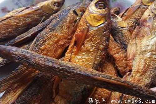 介绍五种鱼产品加工方法 介绍五种鱼产品加工方法