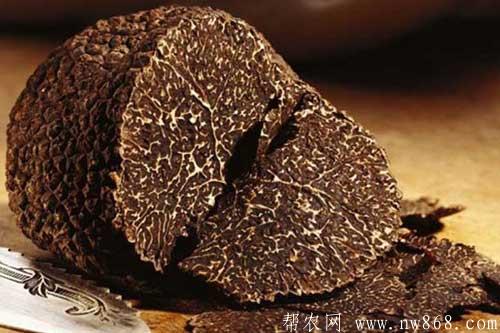 黑松露是什么东西？黑松露的功效和作用是什么