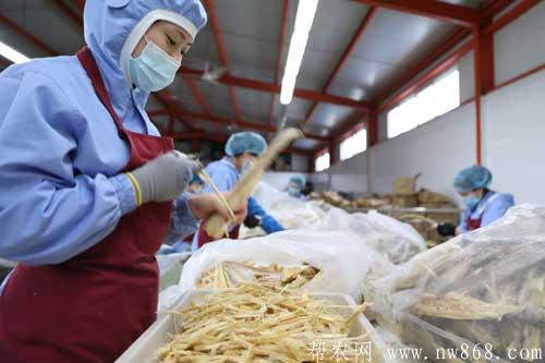 介绍五种鱼产品加工方法