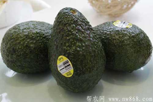 牛油果的功效与作用有哪些？经常食用牛油果有哪些好处？