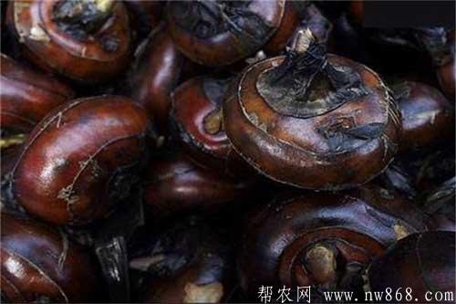 荸荠价格是多少钱一斤?种植荸荠赚钱吗? 荸荠价格是多少钱一斤?种植荸荠赚钱吗?