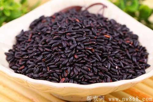 黑米的功效与作用是什么？黑米掉色正常吗?