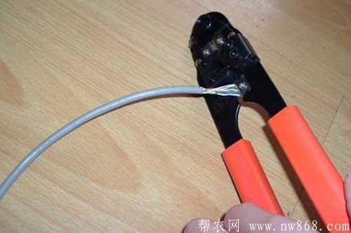 网线水晶头排线图片参考及网线水晶头接法介绍 网线水晶头排线图片参考及网线水晶头接法介绍