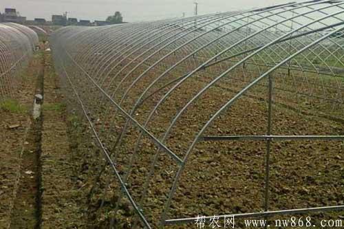 建一亩地温室大棚需要多少钱?用什么材料? 建一亩地温室大棚需要多少钱?用什么材料?