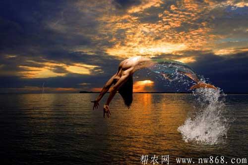 美人鱼的童话故事|美人鱼的民间传说 美人鱼的童话故事|美人鱼的民间传说