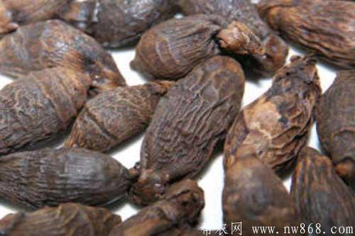 槟榔和南瓜子合用治疗肠绦虫病效果好