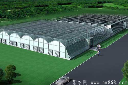 建一亩地温室大棚需要多少钱？用什么材料？
