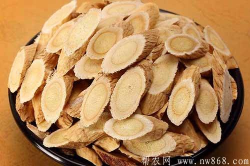 哪六种人不能吃黄芪？黄芪的功效与作用是什么？