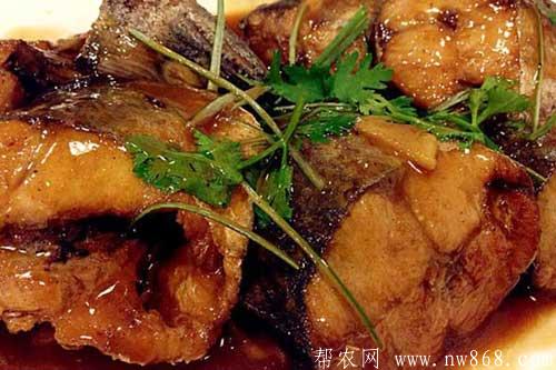 鲅鱼有哪些常见的家常做法 鲅鱼有哪些常见的家常做法