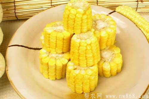 经常吃玉米的人会不会发胖 经常吃玉米的人会不会发胖