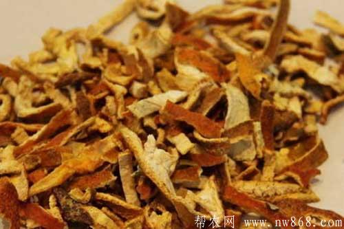 陈皮的功效与作用是什么|陈皮有哪些食用方法 陈皮的功效与作用是什么|陈皮有哪些食用方法