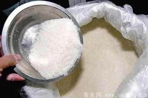 养猪经验——白糖喂猪好处多