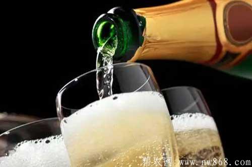 三种清凉饮料配方及简单方便的制作方法
