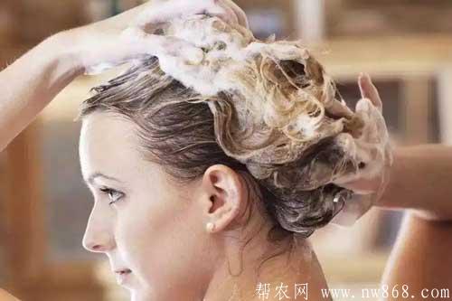角朊护发香波配方及制作方法