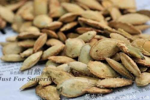 椒盐南瓜子和多味葵花子加工制作方法