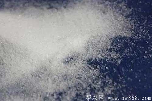 介绍一种葡萄糖快速结晶的方法