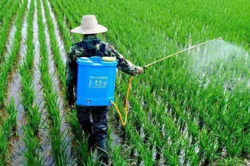 农药在混合使用时需要注意哪些问题？