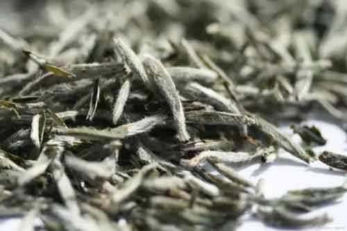 贡眉白茶是什么茶？贡眉白茶有哪些功效和作用？