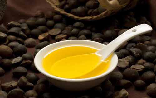 利用茶籽提取茶籽油、茶皂素以及木糖醇等产品