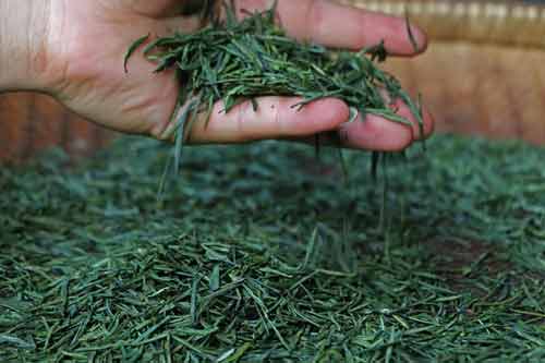 绿茶贮藏保鲜方法|防止茶叶吸潮变质