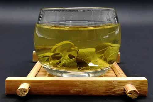 柿叶茶药用功效以及柿叶茶制作方法