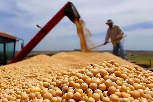 粮食大涨价预示着什么？谈谈粮食价格上涨对经济的影响