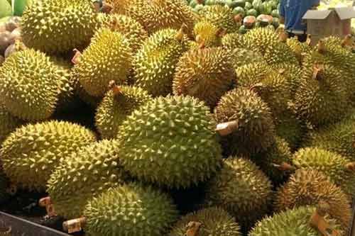 榴莲是什么季节的水果？为什么有水果之王的称号？