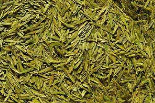 黄金芽属于什么茶？介绍黄金芽价格以及挑选方法
