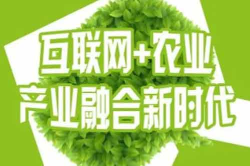 农产品营销渠道有哪些类型？包含哪些优点和缺点？