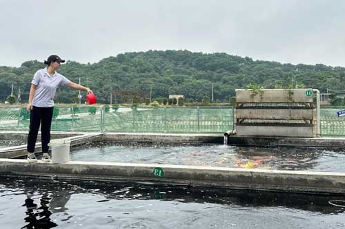 秋冬季节鱼种喂养及管理需要注意什么 秋冬季节鱼种喂养及管理需要注意什么