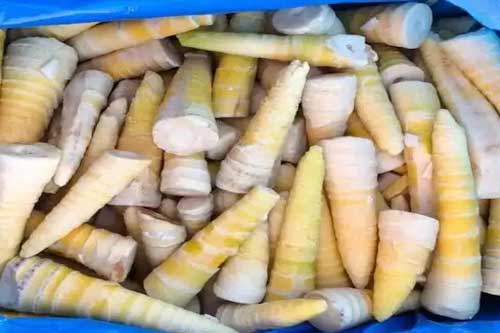 分享冬笋挑选和保鲜的简易方法 分享冬笋挑选和保鲜的简易方法