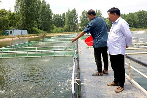 秋冬季节鱼种喂养及管理需要注意什么 秋冬季节鱼种喂养及管理需要注意什么