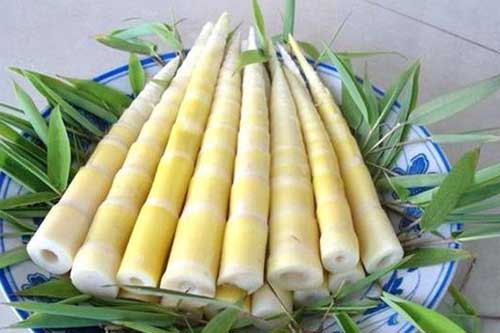 分享冬笋挑选和保鲜的简易方法 分享冬笋挑选和保鲜的简易方法