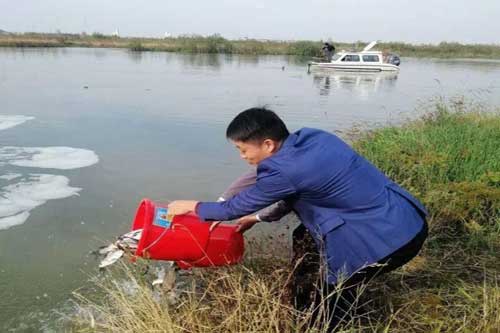 秋冬季节鱼种喂养及管理需要注意什么 秋冬季节鱼种喂养及管理需要注意什么
