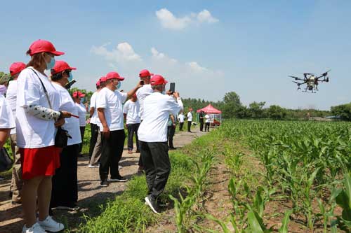 高素质职业农民应当具备哪些能力和素质 高素质职业农民应当具备哪些能力和素质